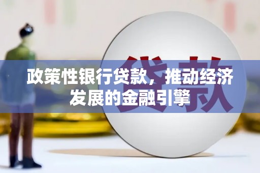 海兴政策性银行贷款，推动经济发展的金融引擎