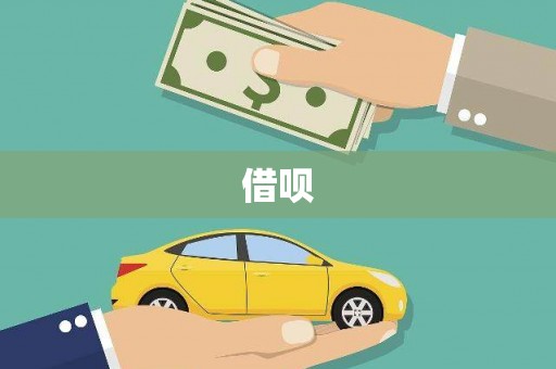 海兴借呗
