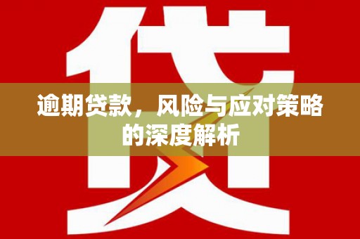 海兴逾期贷款，风险与应对策略的深度解析