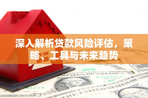 海兴深入解析贷款风险评估，策略、工具与未来趋势