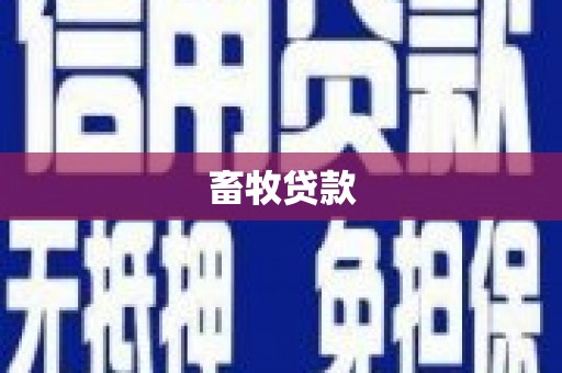 海兴畜牧贷款