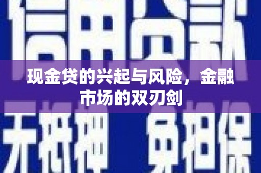 海兴现金贷的兴起与风险，金融市场的双刃剑