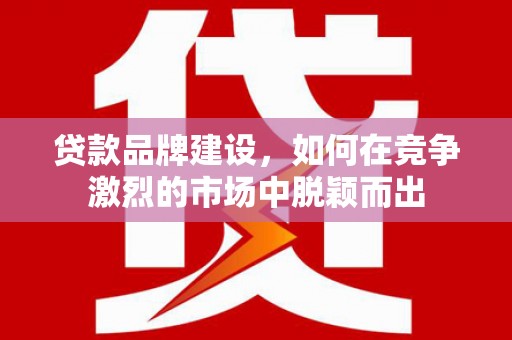 海兴贷款品牌建设，如何在竞争激烈的市场中脱颖而出