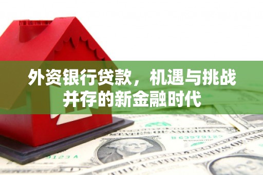 海兴外资银行贷款，机遇与挑战并存的新金融时代