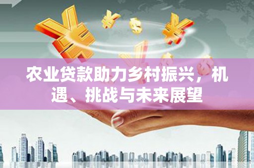 海兴农业贷款助力乡村振兴，机遇、挑战与未来展望