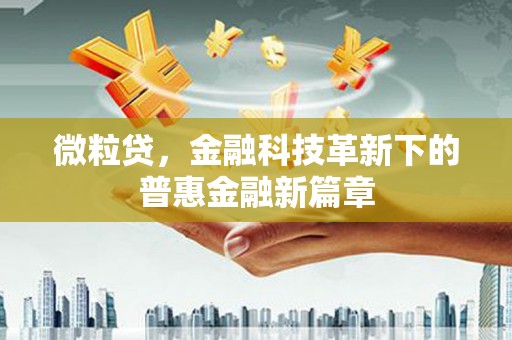 海兴微粒贷，金融科技革新下的普惠金融新篇章