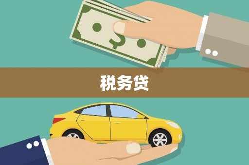 海兴税务贷