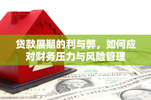 海兴贷款展期的利与弊，如何应对财务压力与风险管理
