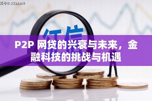 海兴P2P 网贷的兴衰与未来，金融科技的挑战与机遇