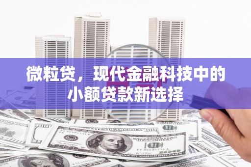 海兴微粒贷，现代金融科技中的小额贷款新选择