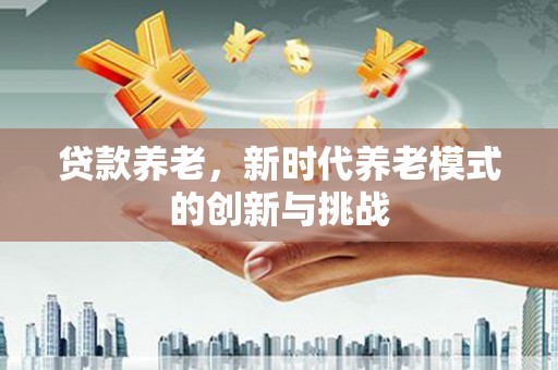 海兴贷款养老，新时代养老模式的创新与挑战