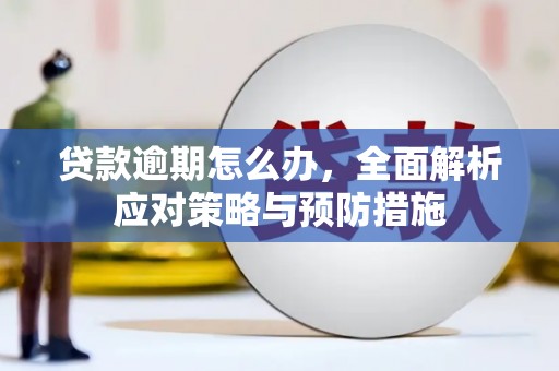 海兴贷款逾期怎么办，全面解析应对策略与预防措施