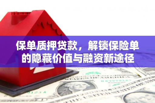 海兴保单质押贷款，解锁保险单的隐藏价值与融资新途径
