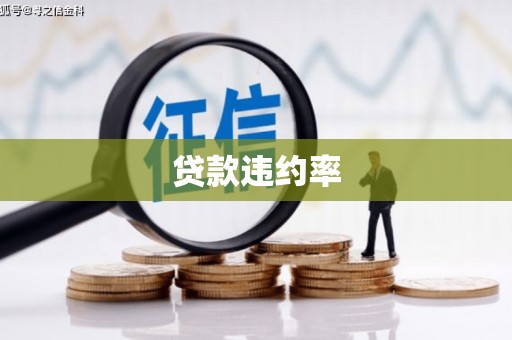 海兴贷款违约率