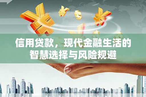 海兴信用贷款，现代金融生活的智慧选择与风险规避