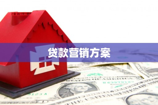 海兴贷款营销方案