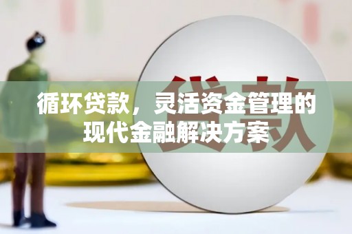 海兴循环贷款，灵活资金管理的现代金融解决方案