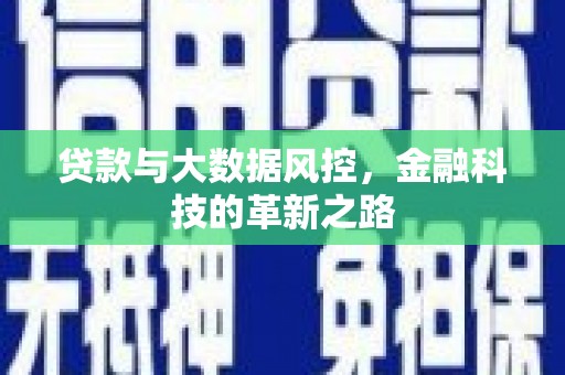 海兴贷款与大数据风控，金融科技的革新之路