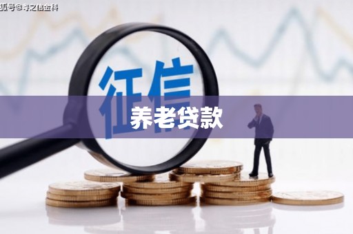 海兴养老贷款