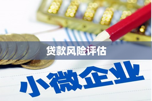 海兴贷款风险评估