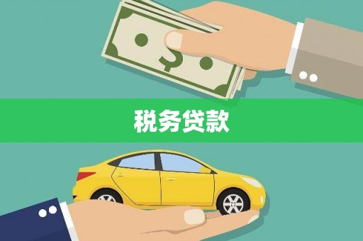 海兴税务贷款