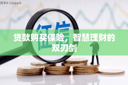 海兴贷款购买保险，智慧理财的双刃剑
