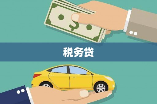 海兴税务贷