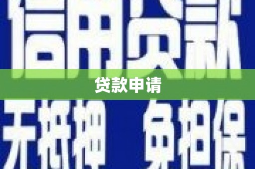 海兴贷款申请