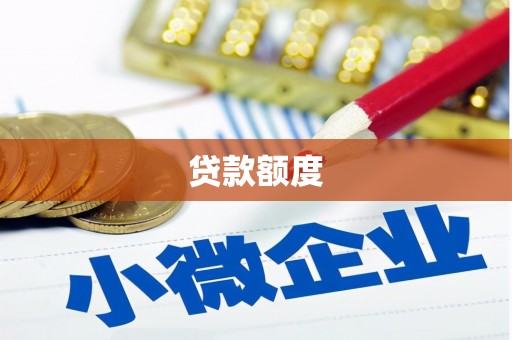 海兴贷款额度