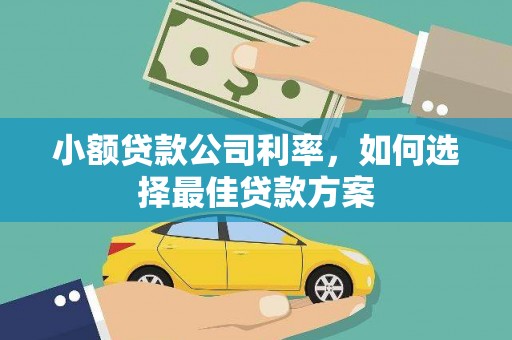 海兴小额贷款公司利率，如何选择最佳贷款方案