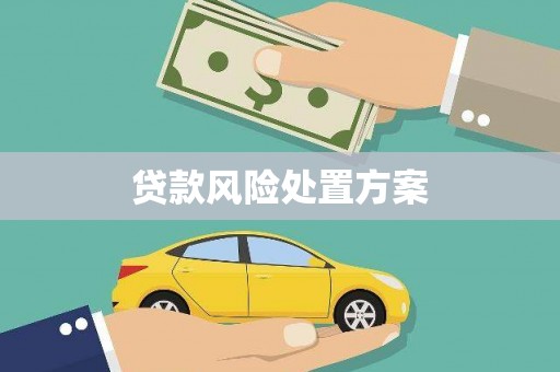 海兴贷款风险处置方案