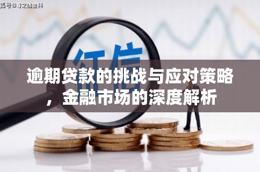 海兴逾期贷款的挑战与应对策略，金融市场的深度解析