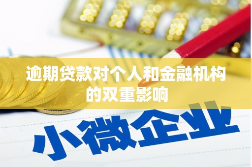 海兴逾期贷款对个人和金融机构的双重影响