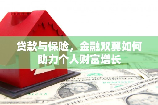 海兴贷款与保险，金融双翼如何助力个人财富增长