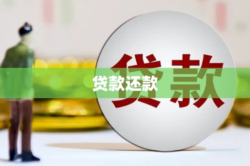 海兴贷款还款