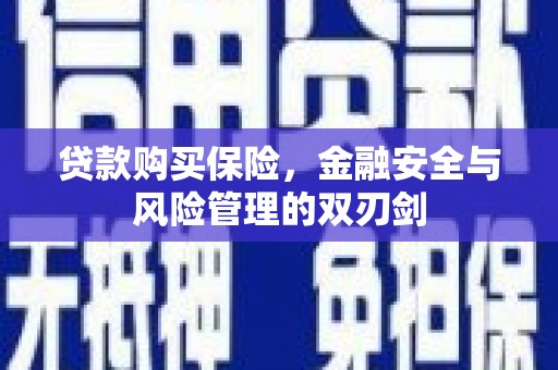海兴贷款购买保险，金融安全与风险管理的双刃剑