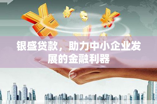 海兴银盛贷款，助力中小企业发展的金融利器