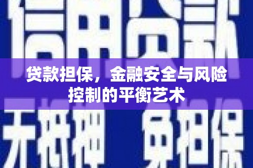 海兴贷款担保，金融安全与风险控制的平衡艺术