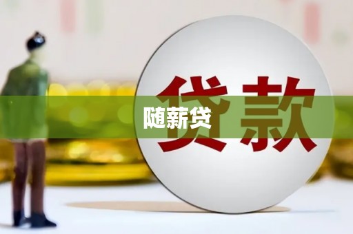 海兴随薪贷