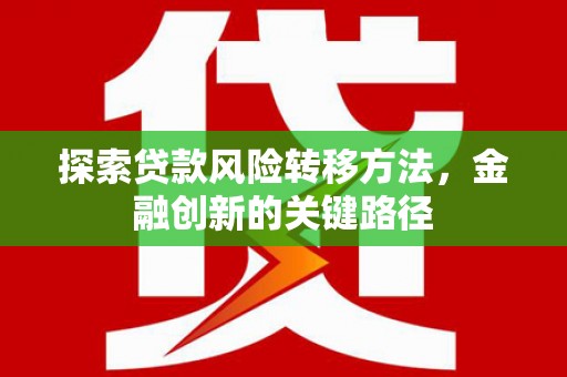 海兴探索贷款风险转移方法，金融创新的关键路径