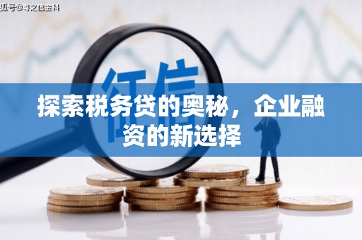 海兴探索税务贷的奥秘，企业融资的新选择