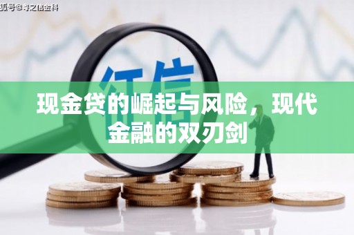 海兴现金贷的崛起与风险，现代金融的双刃剑