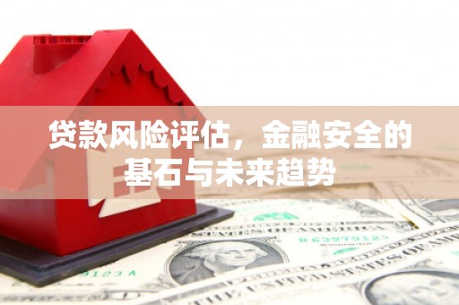 海兴贷款风险评估，金融安全的基石与未来趋势