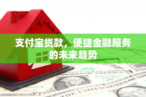 海兴支付宝贷款，便捷金融服务的未来趋势