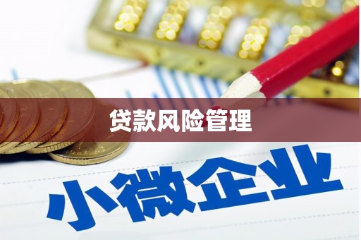海兴贷款风险管理
