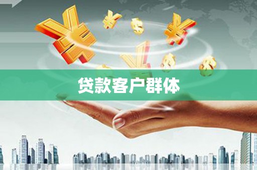 海兴贷款客户群体