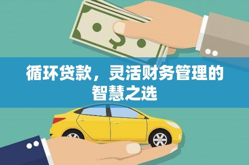 海兴循环贷款，灵活财务管理的智慧之选