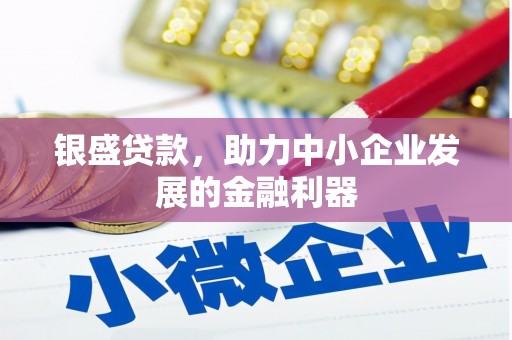 海兴银盛贷款，助力中小企业发展的金融利器