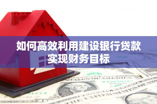 海兴如何高效利用建设银行贷款实现财务目标