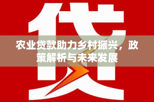 海兴农业贷款助力乡村振兴，政策解析与未来发展